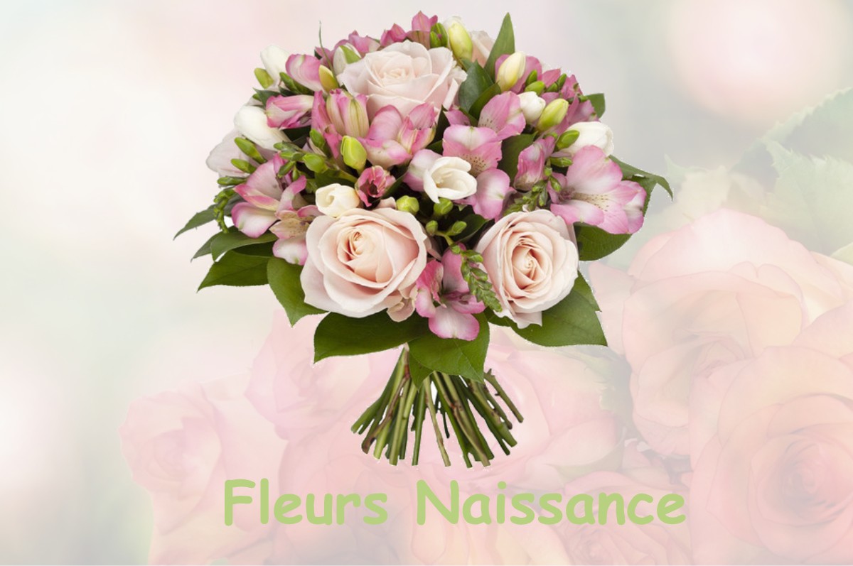 fleurs naissance SAINT-HILAIRE-FOISSAC